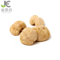 factory supply hericium erinaceus mushroom extract powder 10:1 Lion's mane mushroom powder